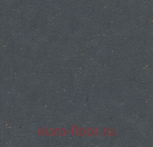 Cocoa 3583