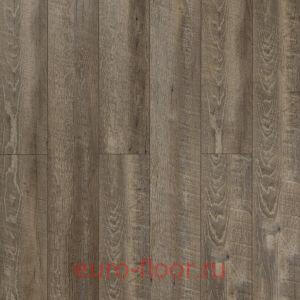 DEW    6011-5