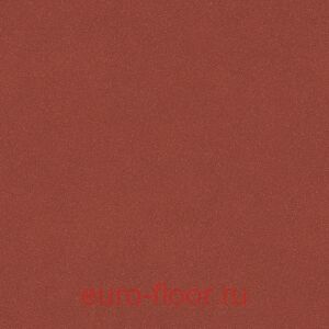 ������ ��� ������ 8