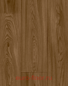 IVC Centra ��� ������� T47