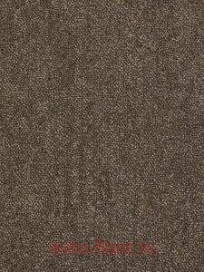 �������� Haima Coral 06