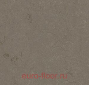 Concrete 3705