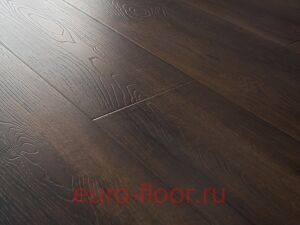 Bristol ��� ���������