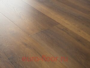 Bristol ��� �������