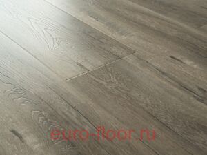 Bristol ��� �����