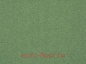 Fortesse 023