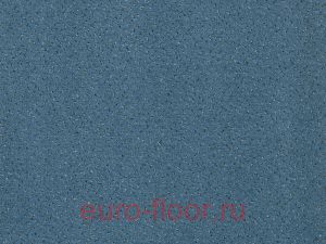 Fortesse 173