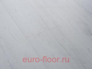 Bristol ��� �������