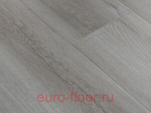 Bristol ��� ��������