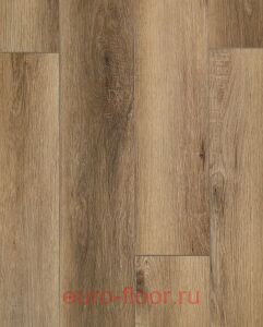 Bonkeel ���� 341