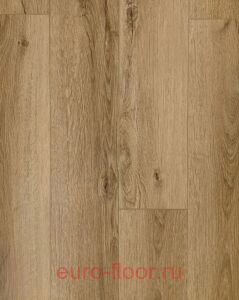 Bonkeel ���� 342