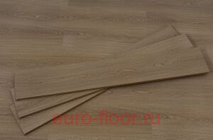 Select 12�� ��� �����������