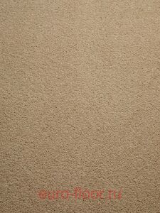 �������� Haima Noble 41