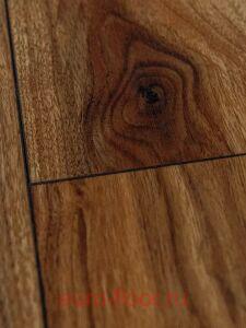 Bonkeel ���� 462