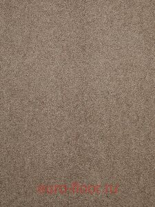 �������� Condor Stockholm 492