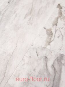 Bonkeel ����� 501