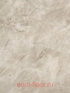 Bonkeel ����� 503