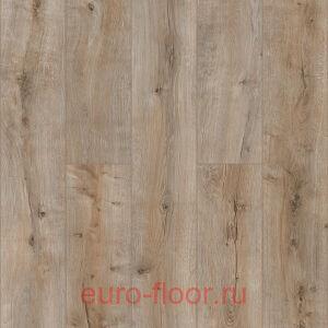 Swiss Krono Eventum 833 ��� ���������