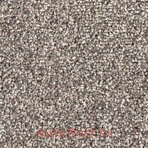 ������� 570