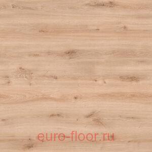 Swiss Krono Caspian 832 ��� ������ �����������