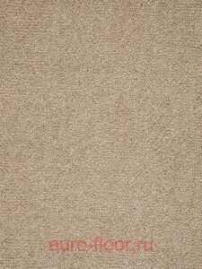 �������� Condor Stockholm 72