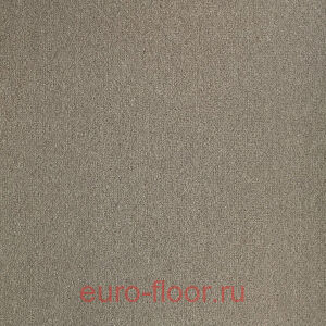 �������� Unique Trend 76