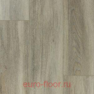 DEW Bay �����