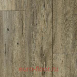 DEW Bay �����