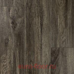 DEW Bay ������