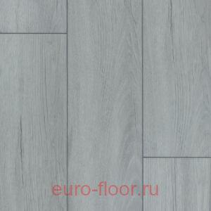 DEW Bay ������