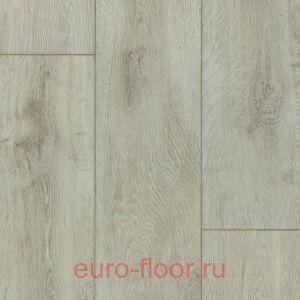 DEW Bay ����