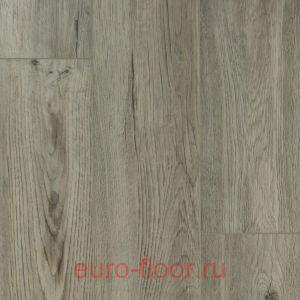 DEW Bay ����