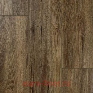 DEW Bay �����