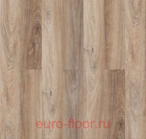 Bonkeel ����� ��� �����