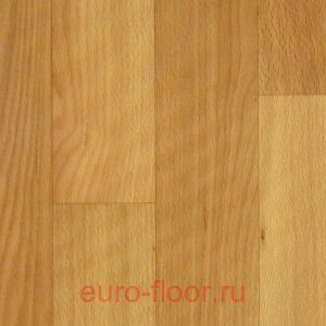 Sport 6mm Gold Beech