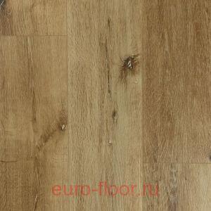 DEW ������ �����