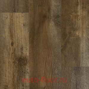 DEW ������ ����