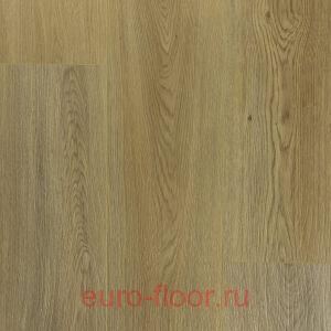 DEW ������ �����