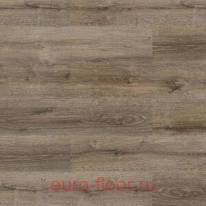 DEW Si ��� ��������