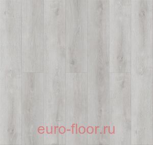 ROYCE Enjoy ��� ����