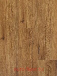 Bonkeel ����� ������