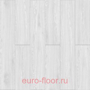 Bonkeel ����� ��� �����