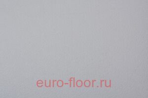 Apoluza Sportfloor 6.5�� �����