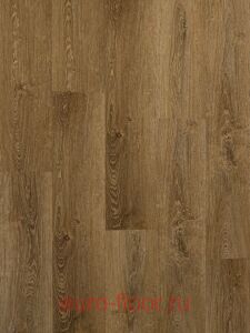 Bonkeel ����� 320