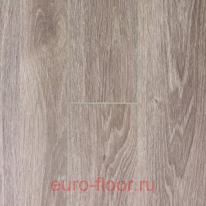 Bonkeel ����� ��� ������