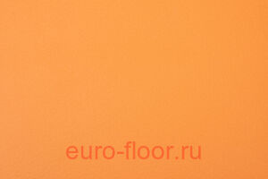 Apoluza Sportfloor 8.5�� �����