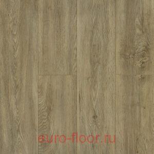 DEW Bay ��������