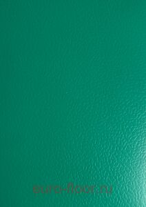Basis 4.5 Green