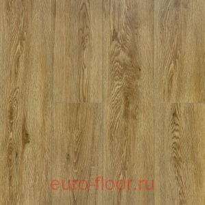 DEW Bay �����