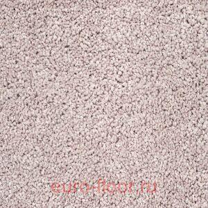 ������ 277